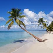 Île Saona