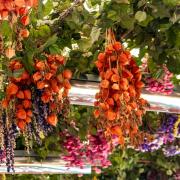 Marché aux fleurs