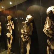 Museo de los Momias de Guanajuato