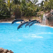Loro Parque