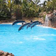 Loro Parque