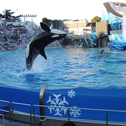 Seaworld San Diego