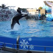Seaworld
