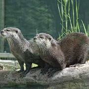 Zoo de Schönbrunn