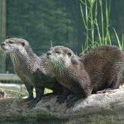 Zoo de Schönbrunn