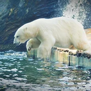 Prague Zoo