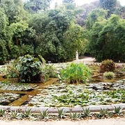 Jardin botanique de Palerme