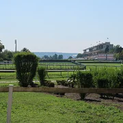 Hippodrome d'Auteuil
