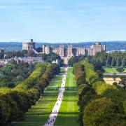 Windsor