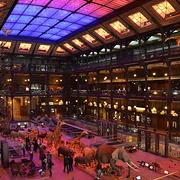 Grande Galerie de l'Évolution