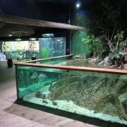 Grand aquarium de Saint-Malo