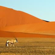 Parc national de Namib-Naukluft