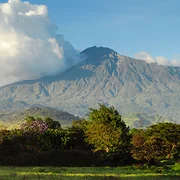 Parc national d'Arusha