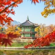 Palais Gyeongbok