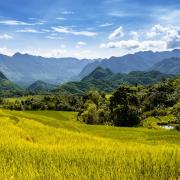 Mai Chau