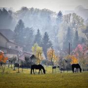Nature Park Medvednica