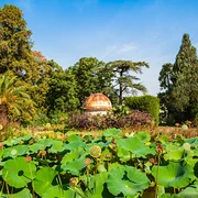 Jardin des plantes de Montpellier