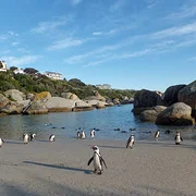 Boulders Beach