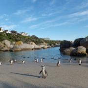 Boulders Beach