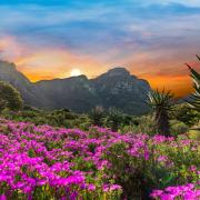 Jardin Botanique National Kirstenbosch