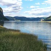 Petit-Saguenay