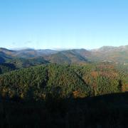 Mont Lozère
