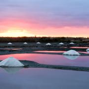Marais salants de Guérande