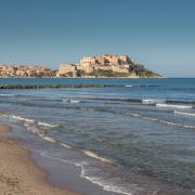 Plage de Calvi
