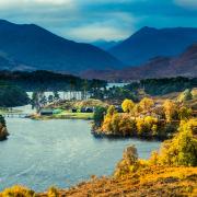 Glen Affric