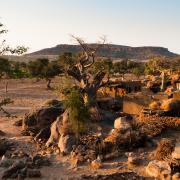 Mali