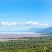 Parc national du lac Manyara