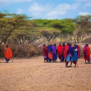 Village culturel Masai Olpopongi
