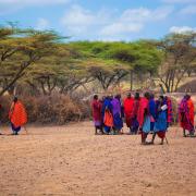 Village culturel Masai Olpopongi