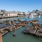 Pier 39 de San Francisco
