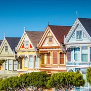 Painted Ladies