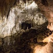 Grottes de Waitomo Glowworm