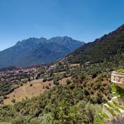 Moltifao