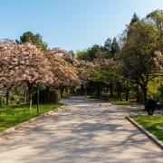 Parc Georges Brassens