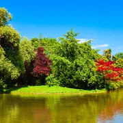 Englischer Garten