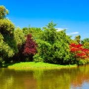 Englischer Garten