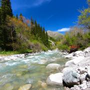 Parc national d'Ala Archa