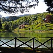 Vernio