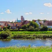 Ribe