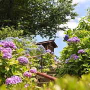 Hakusan Shrine de Bunkyo