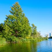 High Park de Toronto