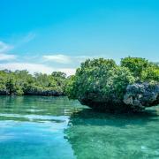 Île de Kwale