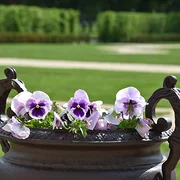 Jardins royaux de Turin