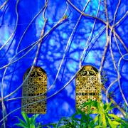 Jardin Majorelle