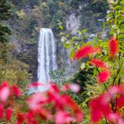 Chute d'eau d'Hirayu