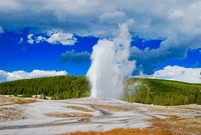 Geyser du Yellowstone